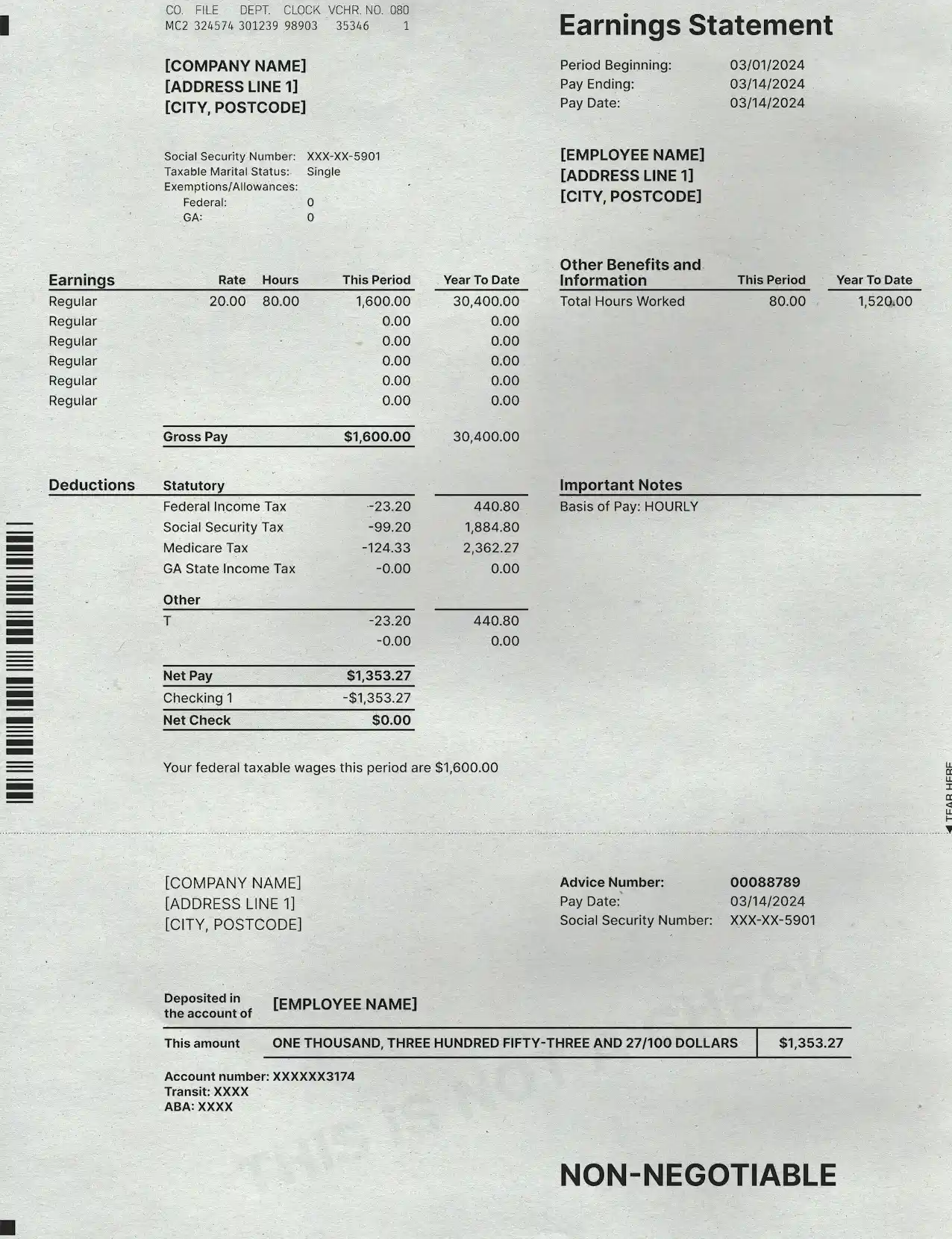 Industry Standard pay stub template — full-page corporate layout